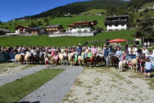 Bambiniring bei der Jubiläumsausstellung Navis 